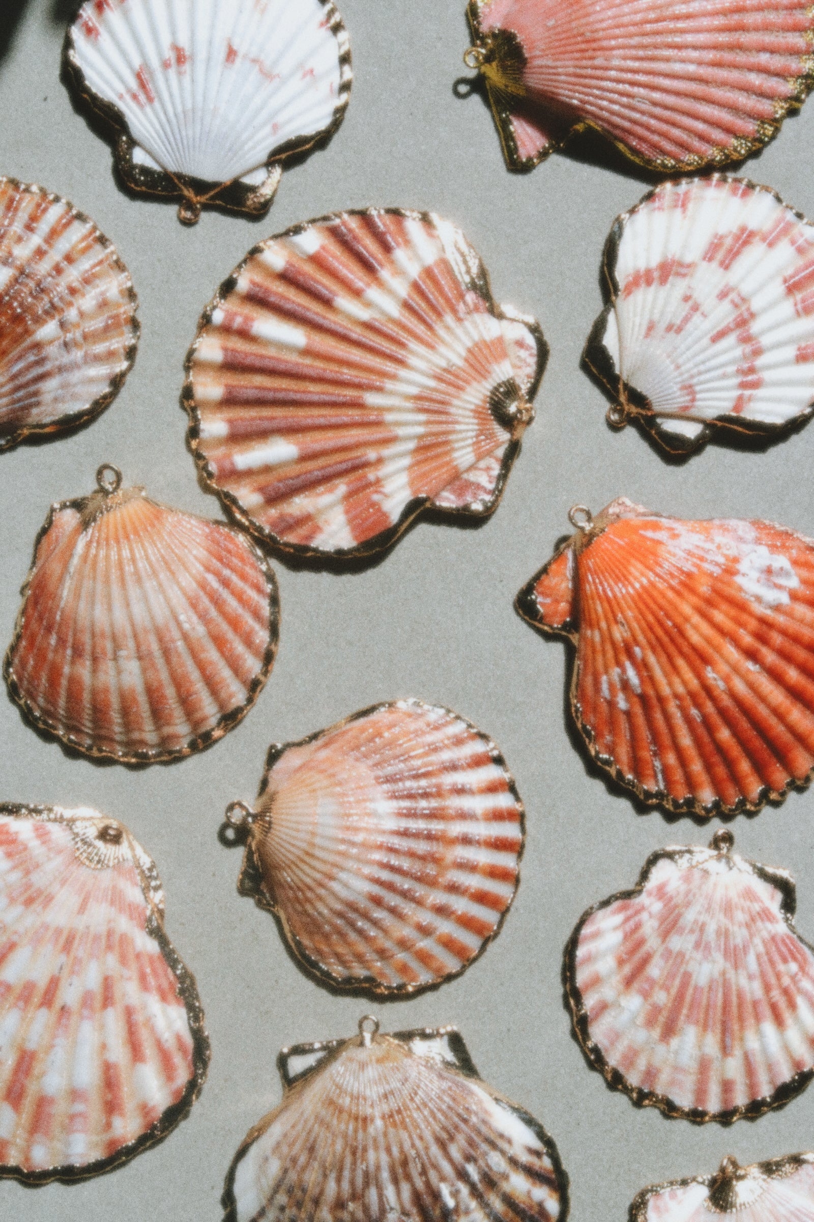 Shells
